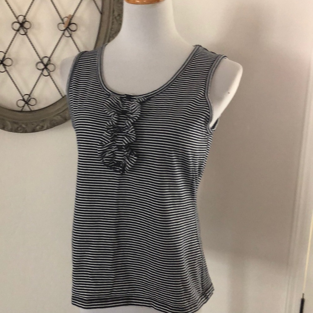 Karen Scott blue and white stripe top size pl